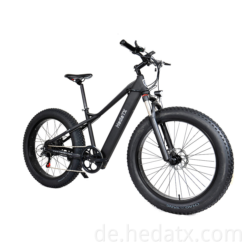 Foldable Electric Fat Tire Bike